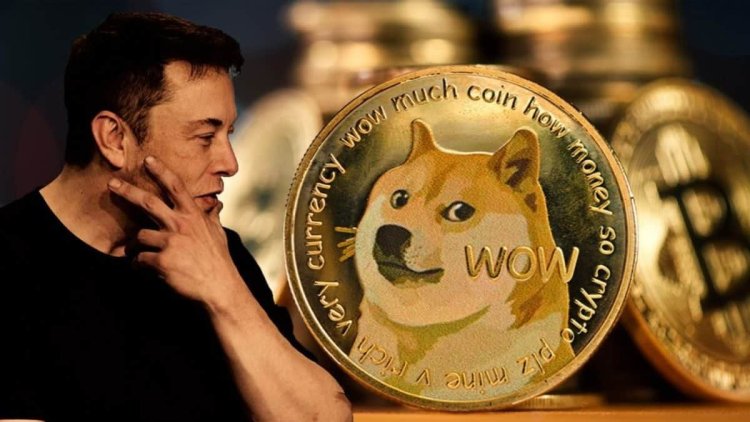 How Much Would $1,000 Invested in Dogecoin When Elon Musk First Tweeted About It Be Worth?