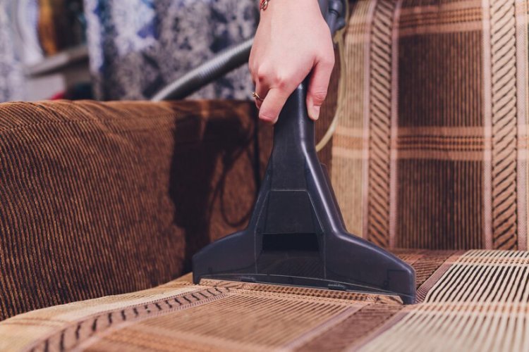 Why Every Home Should Prioritize Professional Carpet Cleaning