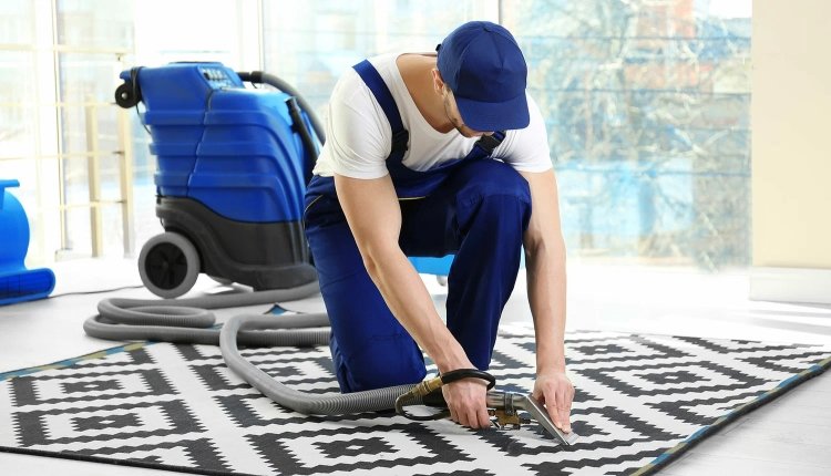 Professional Carpet Cleaning: Keeping Every Home Fresh and Clean