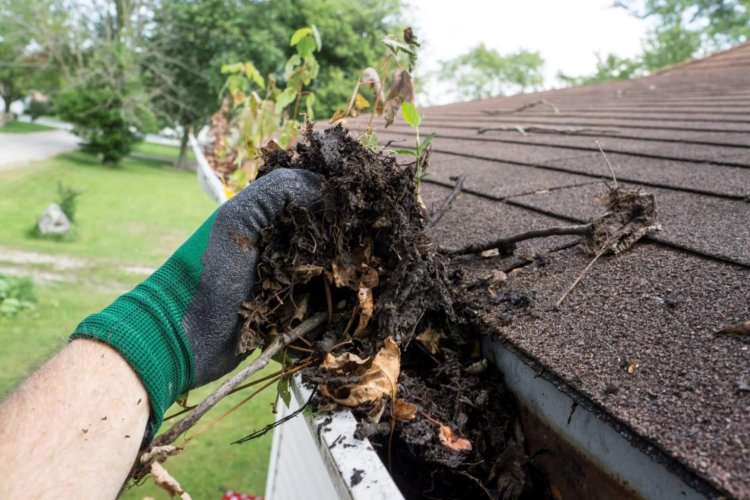 Solar Panel & Gutter Cleaning Eastern Suburbs: Shine Bright & Flow Free